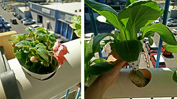 Small Image Economind 3 Ecological Design